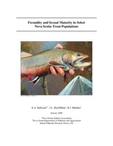 Salmonidae / Brook trout / Trout / Brown trout / Rainbow trout / Apache trout / Fish / Salvelinus / Oncorhynchus