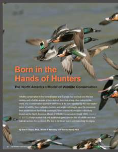 Born in the Hands of Hunters The North American Model of Wildlife Conservation Wildlife conservation in the United States and Canada has evolved over the last century and a half to acquire a form distinct from that of an