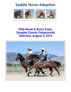 Saddle Horse Adoption  Wild Horse & Burro Expo, Douglas County Fairgrounds Saturday, August 2, 2014