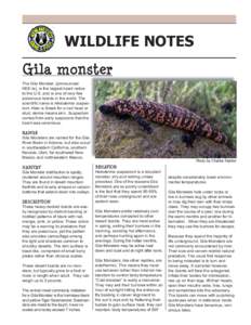 WILDLIFE NOTES Gila monster The Gila Monster, (pronounced HEE-la), is the largest lizard native to the U.S. and is one of very few poisonous lizards in the world. The