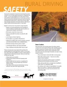 Road transport / Traffic law / Speed limit / Traffic collision / Gravel road / Traffic / Road / Deer / Speed limits in the United States / Transport / Land transport / Road safety