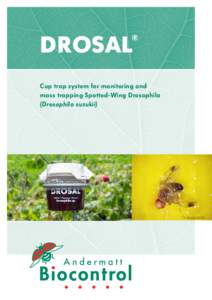Agricultural pest insects / Drosophila / Drosophila suzukii / Anthrozoology / Trapping / Drosophilidae / Blackberry / Food and drink / Trap / Hexapoda