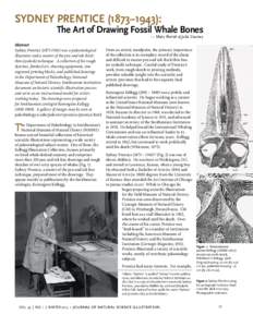 SYDNEY PRENTICE (1873–1943):  The Art of Drawing Fossil Whale Bones — Mary Parrish & Julia Coursey  Abstract