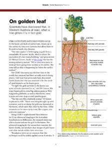 Details / Anne Summers Reports  On golden leaf Scientists have discovered that, in Western Australia at least, when a tree glitters it is in fact gold.