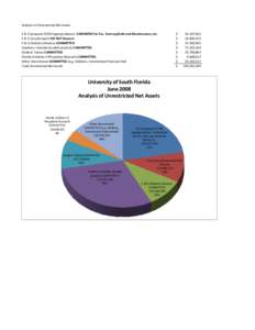 2008 unrestricted net assets graphxlsx