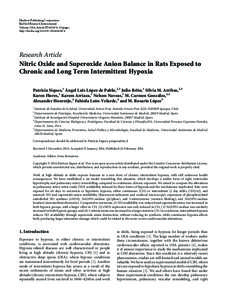 Nitric Oxide and Superoxide Anion Balance in Rats Exposed to Chronic and Long Term Intermittent Hypoxia