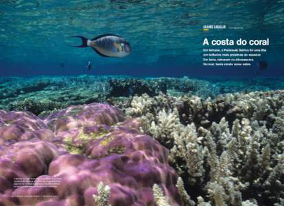 grande angular  Carrapateira A costa do coral Em tempos, a Península Ibérica foi uma ilha