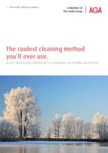 →	 CRYOCLEAN® global gas solutions  The coolest cleaning method you’ll ever use. Dry ice blasting with CRYOCLEAN® is convenient, eco-friendly and efficient.