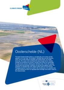 Oosterschelde (NL) The Dutch Oosterschelde estuary is exceptionally rich in birds, but the question is for how long. The sandbars, intertidal flats and salt marshes, which now provide extensive foraging and resting place