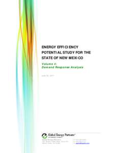 Microsoft Word - State of New Mexico EE Potential Study_Vol 4 DR