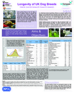 Longevity of UK Dog Breeds O’Neill