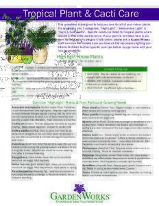 Tropical Plant & Cacti Care This caresheet is designed to help you care for all of your indoor plants. It’s separated into 3 categories, “High Light”, “Medium-low Light” & “Cacti & Succulents”. Specific nee