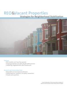 REO&Vacant Properties  Strategies for Neighborhood Stabilization September 2010 Features