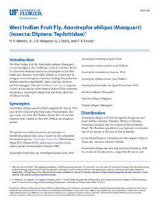 EENY198  West Indian Fruit Fly, Anastrepha obliqua (Macquart)