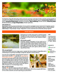 MIGRATORY DRAGONFLY PARTNERSHIP The Migratory Dragonfly Partnership invites you to join a growing community of citizen scientists working together to increase our knowledge about North America’s five main migratory dra