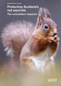 Scottish Natural Heritage  Protecting Scotland’s red squirrels The consultation response