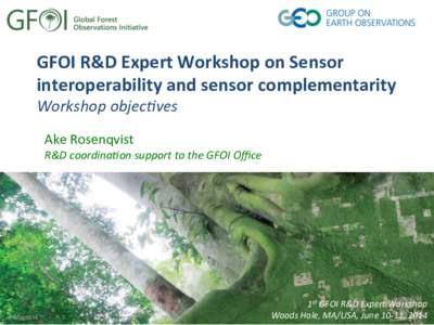 GFOI	
  R&D	
  Expert	
  Workshop	
  on	
  Sensor	
   interoperability	
  and	
  sensor	
  complementarity	
   Workshop	
  objec-ves	
     Ake	
  Rosenqvist	
  	
  