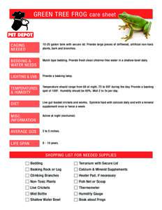 Green_Tree_Frog_care_sheet