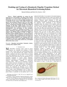 Modeling and Testing of a Biomimetic Flagellar Propulsion Method for Microscale Biomedical Swimming Robots Bahareh Behkam and Metin Sitti, Member, IEEE Abstract— Medical applications are among the most impactful areas 