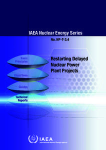 IAEA Nuclear Energy Series No. NP-T-3.4 Basic Principles