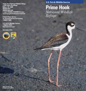 Prime Hook National Wildlife RefugeTurkle Pond Road Milton, DE FAX E-mail: 
