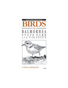 Birds of Balmorhea State Park - A Field Checklist