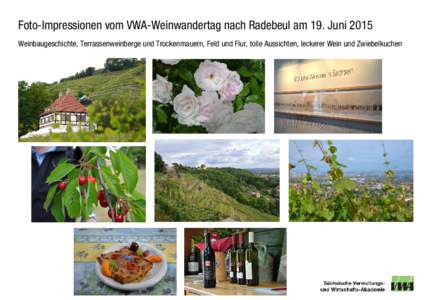 Foto-Impressionen vom VWA-Weinwandertag nach Radebeul am 19. Juni 2015 Weinbaugeschichte, Terrassenweinberge und Trockenmauern, Feld und Flur, tolle Aussichten, leckerer Wein und Zwiebelkuchen 