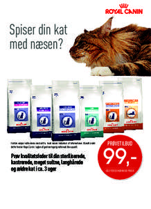 Spiser din kat med næsen? Faktisk vælger katte deres mad ud fra, hvad næsen indsamler af informationer. Blandt andet derfor forsker Royal Canin i lugten af god næringsrig kattemad. Bon appetit.