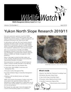 Volume 19 • Number 2  April 2010 Yukon North Slope Research[removed]Every year government agencies consult the Wildlife