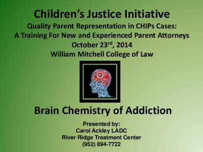Children’s Justice Initiative Quality Parent Representation in CHIPs Cases: A Training For New and Experienced Parent Attorneys October 23rd, 2014 William Mitchell College of Law