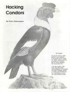Hacking Condors By Peter Schoomaker m