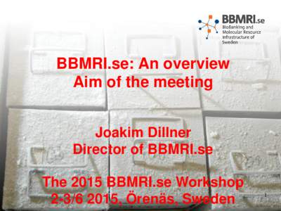 BBMRI.se: An overview Aim of the meeting Joakim Dillner Director of BBMRI.se The 2015 BBMRI.se Workshop, Örenäs, Sweden