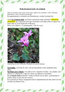 Fiche du mois d’avril : le cyclamen Dans le Cruzzini, nous avons trouvé deux espèces de cyclamens, l’une à floraison printanière, l’autre à floraison automnale : Ils appartiennent à la famille des Primulaceae