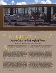 “Twilight of an Era”  A Native Cattle in the Longleaf Forest By Charles M. Simon, Covington County Extension Agent