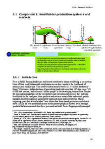 Rural community development / Agroforestry / Ecosystems / Non-timber forest products / Forest product / Forest / World Agroforestry Centre / Plantation / Deforestation / Forestry / Land management / Sustainable agriculture