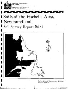 Government of Newfoundland and labrador Department of Rural, Agricultural and Northern Development  i