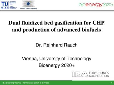 Dual fluidized bed gasification for CHP and production of advanced biofuels Dr. Reinhard Rauch Vienna, University of Technology Bioenergy 2020+
