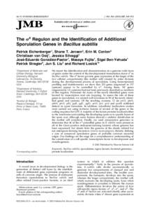 doi:S0022  J. Mol. Biol, 945–972 The sE Regulon and the Identification of Additional Sporulation Genes in Bacillus subtilis