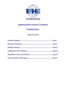 Implementation-Liaison Committee Scoping Papers Table of Contents Executive Summary .................................................................................... Page 1 Hydrogen Production.........................