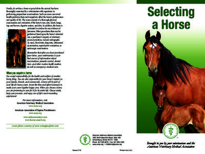 Selecting a Horse (English)