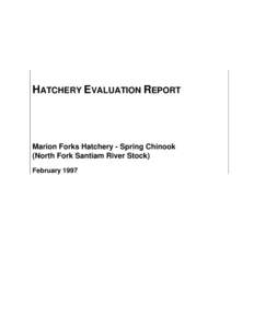 HATCHERY EVALUATION REPORT  Marion Forks Hatchery - Spring Chinook (North Fork Santiam River Stock) February 1997