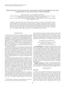 Journal of Vertebrate Paleontology 21(1):40–50, March 2001 ᭧ 2001 by the Society of Vertebrate Paleontology
