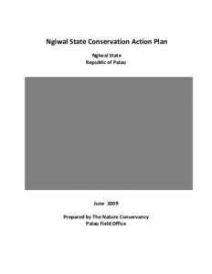 States of Palau / Ngiwal / Adaptive management / Babeldaob / Conservation biology / Coral reef / Palau / Wetland / Biodiversity / Environment / Earth / Terminology