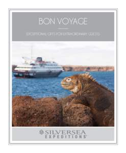 BON VOYAGE EXCEPTIONAL GIFTS FOR EXTRAORDINARY GUESTS Gifts  SPA & SALON