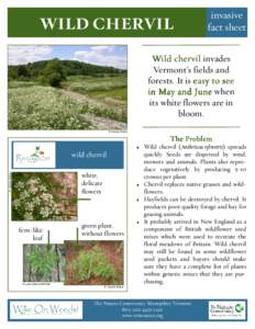 WILD CHERVIL  invasive fact sheet  Wild chervil invades