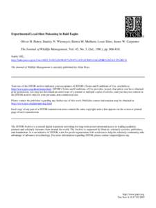 Experimental Lead-Shot Poisoning in Bald Eagles Oliver H. Pattee; Stanley N. Wiemeyer; Bernie M. Mulhern; Louis Sileo; James W. Carpenter The Journal of Wildlife Management, Vol. 45, No. 3. (Jul., 1981), ppSta