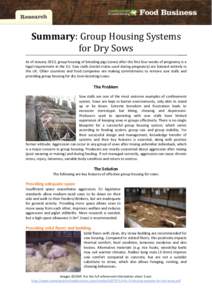 Summary: Group Housing Systems for Dry Sows As of January 2013, group housing of breeding pigs (sows) after the first four weeks of pregnancy is a legal requirement in the EU. Sow stalls (metal crates used during pregnan