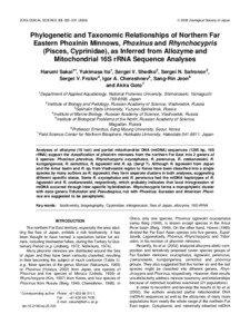 Phoxinus / Rhynchocypris / Mitochondrial DNA / Common minnow / Fish / Cyprinidae / Leuciscinae