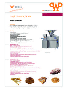 WP BAKERYGROUP  Dough Divider B / V 300 B / V 300 Dough Divider