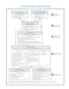 Texas Court Structure Chart